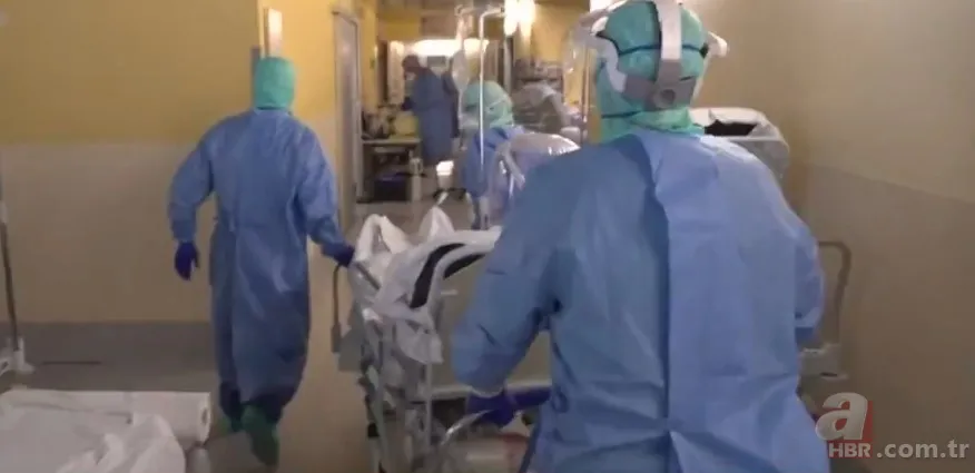 Covid-19'un mutasyon geçirip geçirmediği nasıl anlaşılıyor? Virüs neden mutasyon geçirdi? Mutasyon nedir? 6