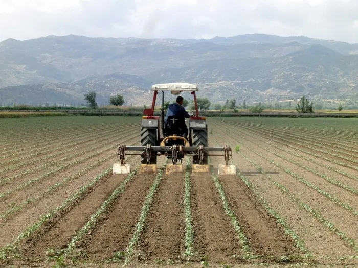 arazi-sahibi-olanlar-dikkat-devletten-kiralik-tarla-donemi-1756708182511.jpeg Tarla (AHABER ARŞİV)