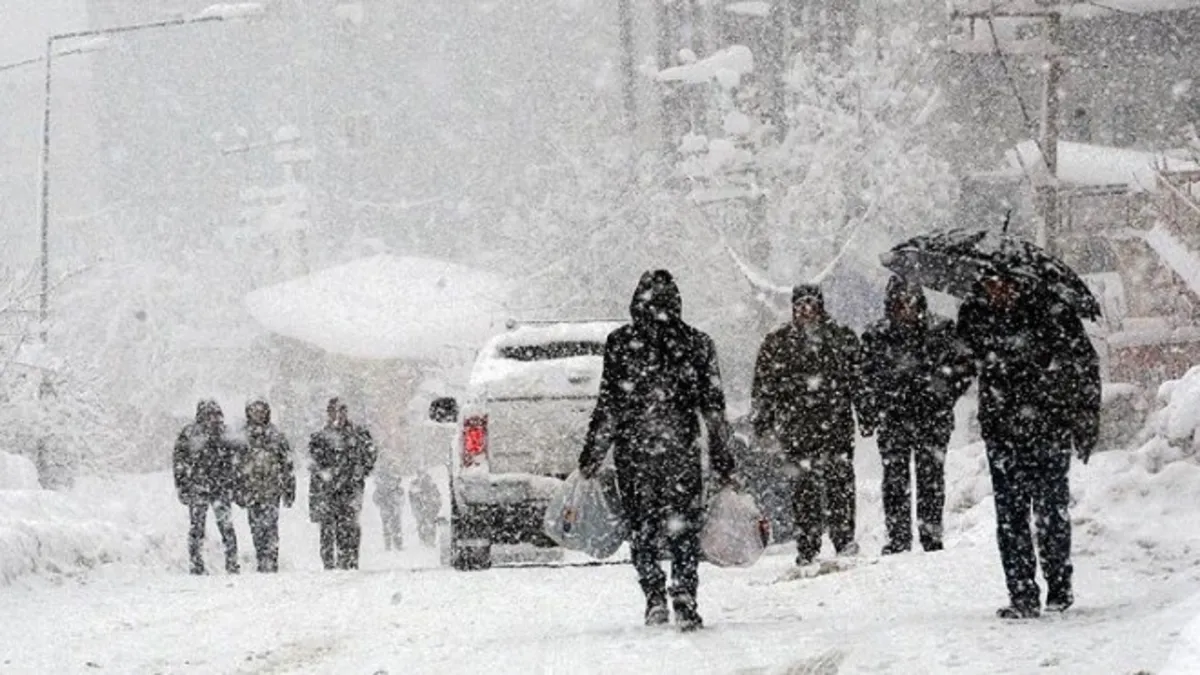 Artvin'de eğitime kar engeli! 2 ilçede okullar tatil