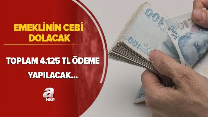 Emeklinin cebi dolacak! Emekliye toplam 4.125 TL ödeme! İşte ödeme tarihleri...