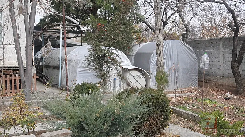 Bu serada sebze değil araba yetişiyor! Değer 3 milyon TL'den fazla 1