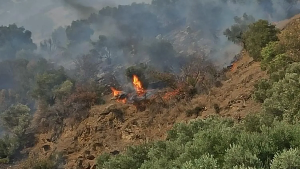 Aydın’da korkutan alevler! Yangın insan kaynaklı mı?