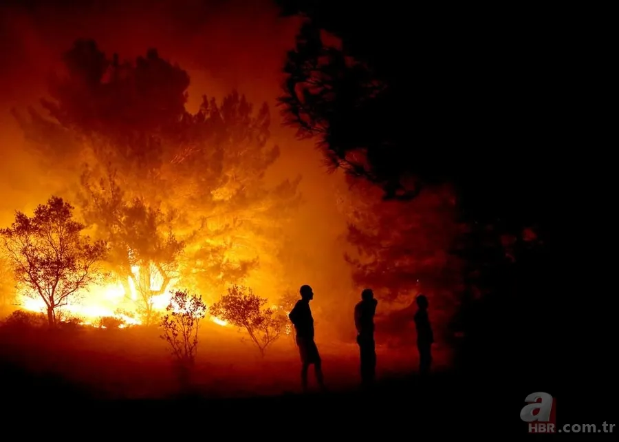 TFMD Yılın Basın Fotoğrafları 2017 açıklandı 11