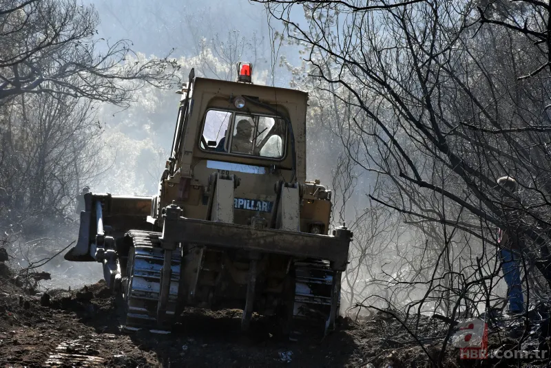 Orman Genel Müdürlüğü mevsimlik işçi alımı 2022 | Bakanlık duyurdu! Karar Resmi Gazete'de! İş arayanlara güzel haber 8