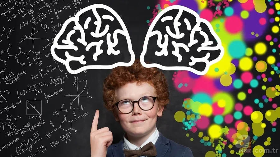 Psikologlar anlattı: Zeki insanların fark edilmeyen 2 günlük davranışı 6