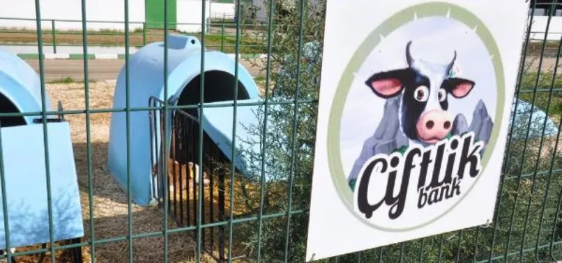Çiftlik Bank'ın 'beyin takımı' ortaya çıktı!