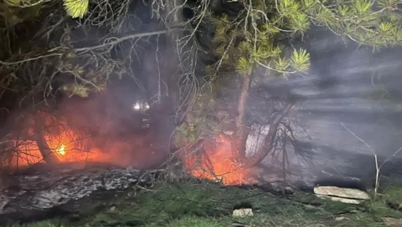 BOLU MUDURNU’DA ORMAN YANGINI! 