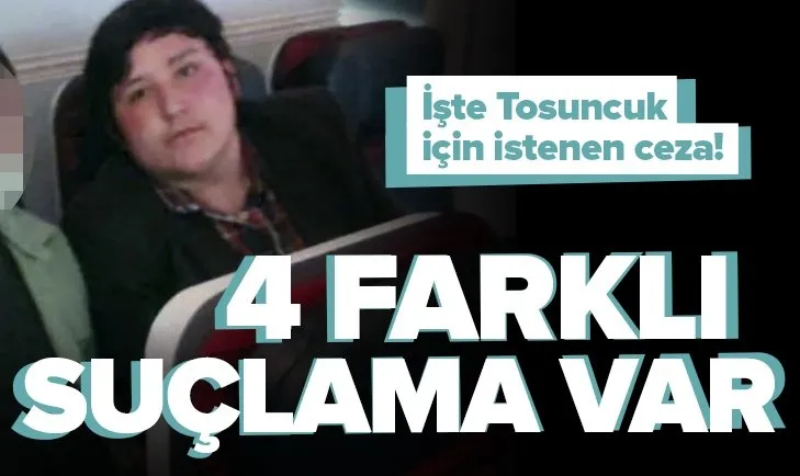 Son dakika: Çiftlik Bank firarisi Mehmet Aydın için dört suçlama var! İşte ’Tosuncuk’ için istenen ceza!