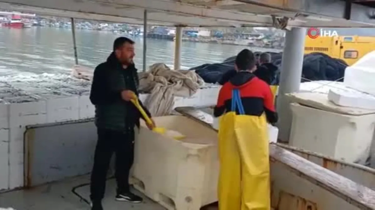 Düzce’de 3 bin kasa Hamsi ile döndüler