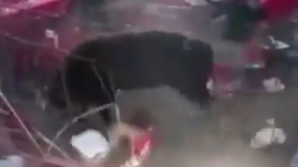 Yarışmada facia! Seyirciler dehşeti yaşadı