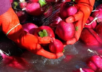 Bağışıklığı çelik gibi yapıyor! Kışın sofranızdan eksik etmeyin