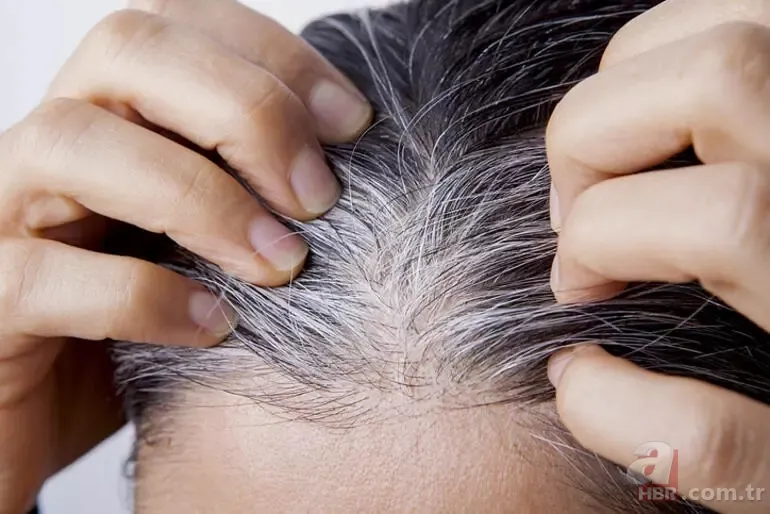 İbn-i Sina 1000 yıl yazdığı şifalı formül: Beyaz saç tellerinden kuaföre gitmeden kurtulun 9