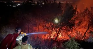 Aydın’da makilik alanda yangın