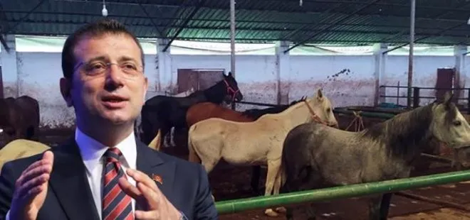 CHP’li İBB’deki kayıp at skandalında yeni gelişme! O müdürün memurluktan ihracı istendi