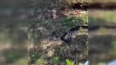 Bir evi mesken tuttular! Vatandaşlar tedirgin