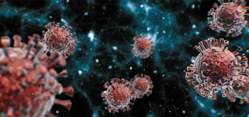 Son dakika: Vietnam Sağlık Bakanı açıkladı: İngiliz ve Hint varyantının karışımı yeni varyant tespit edildi