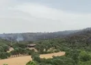 İvrindide orman yangını