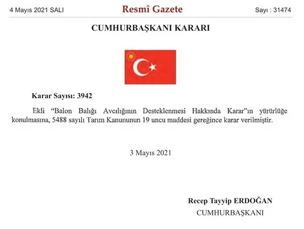 1620082084711.jpg Resmi Gazete'de yayımlandı! Balon balığı avlayanlara balık başına 5 lira ödenecek! - 2