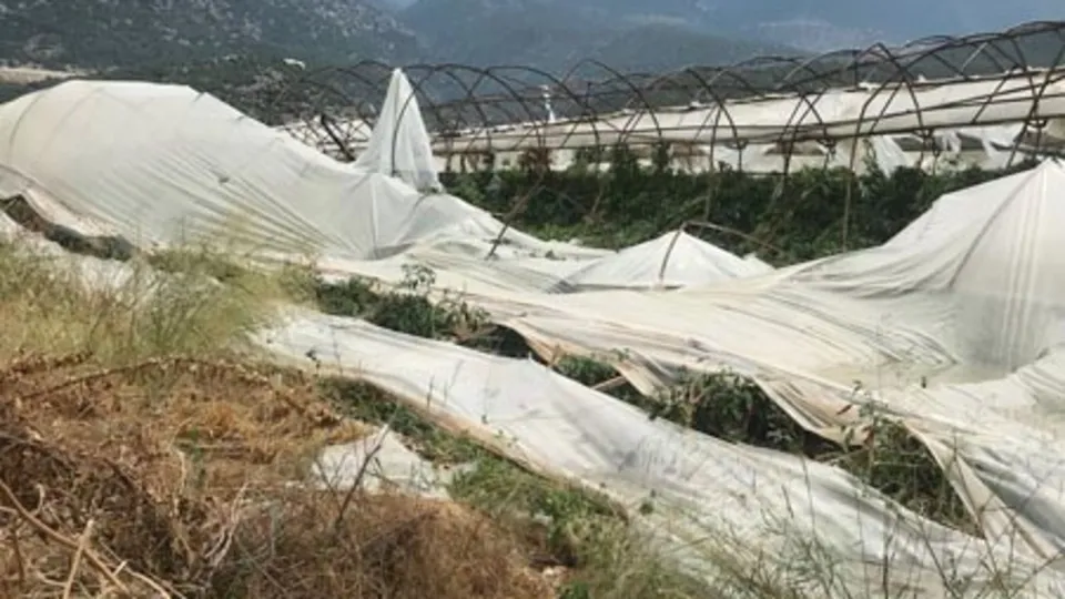 Demre'da dolu ve rüzgar 939 dönüm seraya zarar verdi