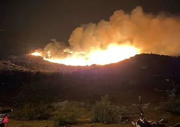 Aydın Söke’de orman yangını