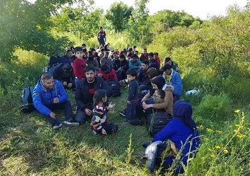 168 kaçak ormanda yakalandı