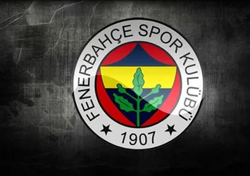 Fenerbahçe Dick Advocaat ile anlaştı!