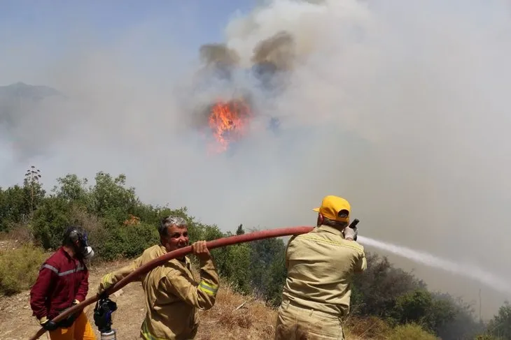 Turizm cenneti Adrasan’daki yangınların altından PKK çıktı