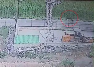 Günlerdir kayıplar! Vatandaşları uyardı: Görenler kaçsın!