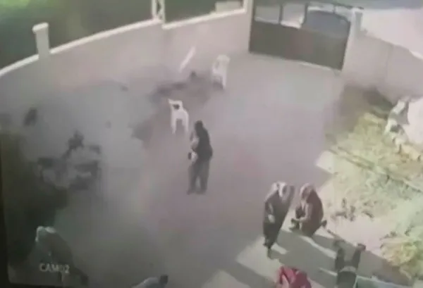 1627915497895.jpg Konya'daki katliama ilişkin yeni açıklama: Bazı kişiler bu olayı siyasi propaganda haline getirmek istedi I Dedeoğulları ailesinin yakını A Haber'e konuştu - 4