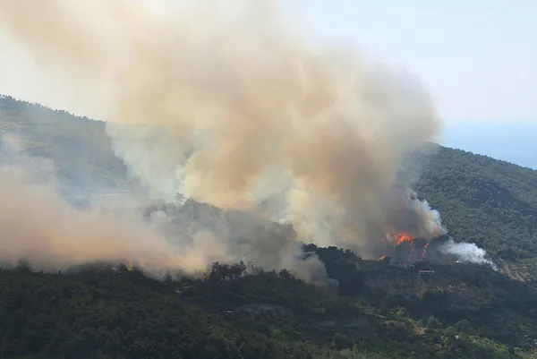 Tarım ve Orman Bakanı İbrahim Yumaklı: Hatay Belen’deki orman yangını büyük oranda kontrol altına alındı