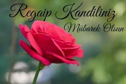 Regaip Kandili mesajları 2021: En iyi, anlamlı, dualı kandil mesajları burada! WhatsApp, SMS, Facebook kandil mesajı...