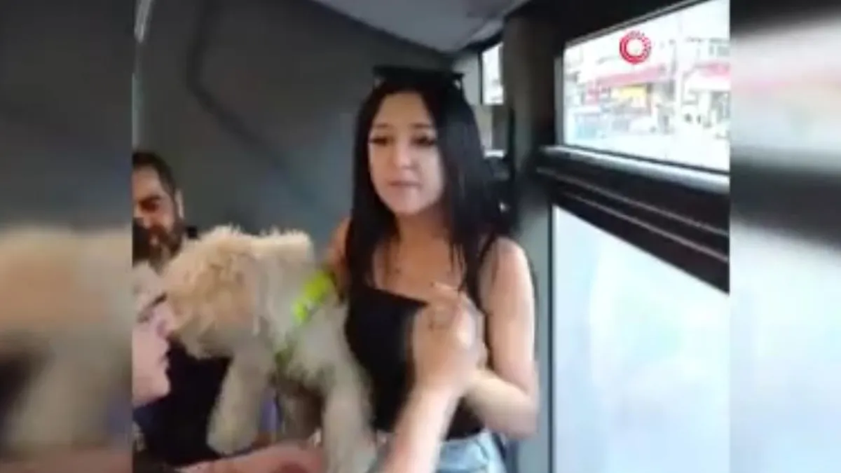 Ankara'da otobüse köpeği ile bindi olay çıkardı! Kavga anları kamerada