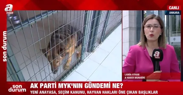 Türkiye'nin gözü AK Parti MYK'da! Toplantının önemli maddelerini neler oluşturuyor? - 2