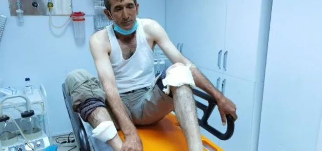 Tunceli’de ayı saldırısına uğrayan vatandaş yaralandı