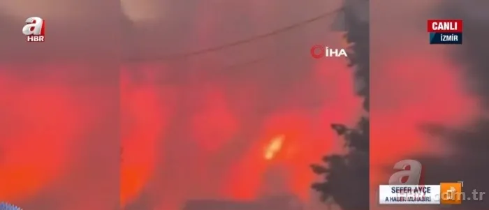 İzmir'de korkutan orman yangını 2. gününde! Bakan Yumaklı'dan güzel haber: Tamamen kontrol altında 13