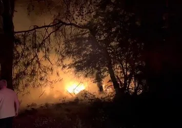 Manavgat'ta çıkan orman yangını söndürüldü! 1 kişi gözaltına alındı