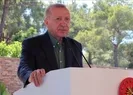 Millet bahçesine ilk fidan Başkan Erdoğan’dan