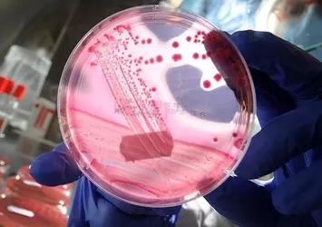 Uzun süre oturmak bu hastalarda meme kanseri riskini artırıyor