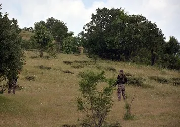 Muş'ta 2 terörist etkisiz hale getirildi