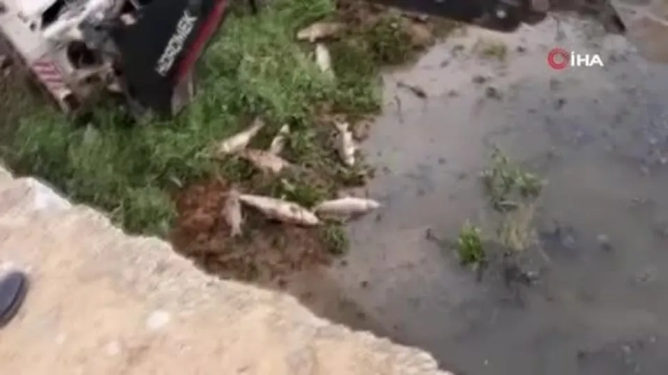Ömerli Barajı’ndan kahreden görüntüler! Hepsi toprağa gömüldü
