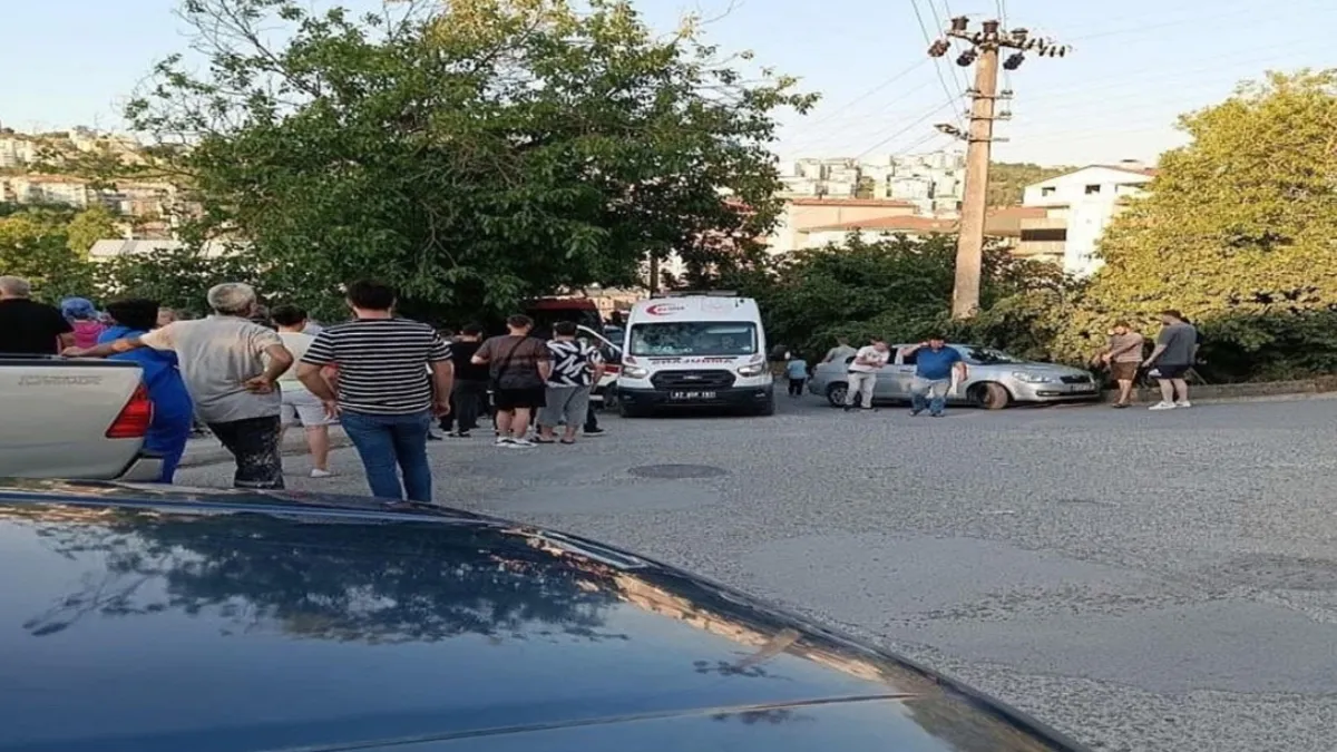 Zonguldak'ta kamyonet şarampole yuvarlandı: 1 ölü