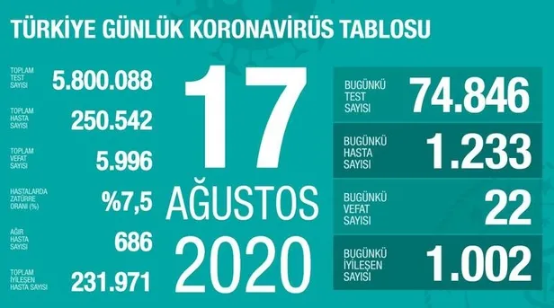 17 Ağustos koronavirüs tablosu: Türkiye'de corona virüsü vaka sayısı kaç oldu? Koronadan kaç kişi öldü? - 1