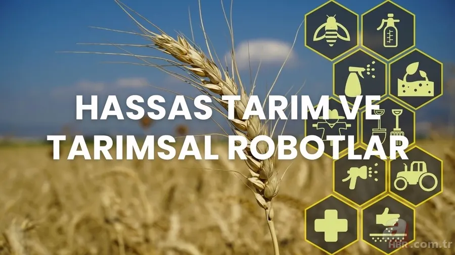 YÖK Başkanı'ndan flaş duyuru! 2025 YKS’de bu bölümler ilk kez tercih listesinde olacak 3