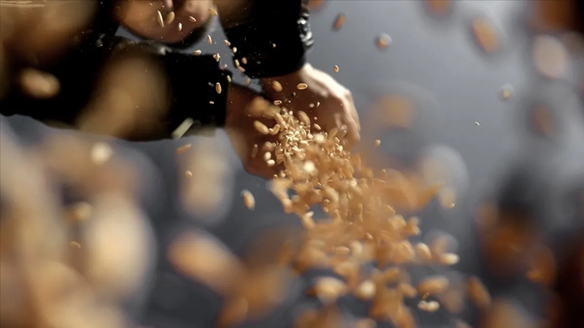 Türkiye 121 ülkeye tohum ihraç ediyor