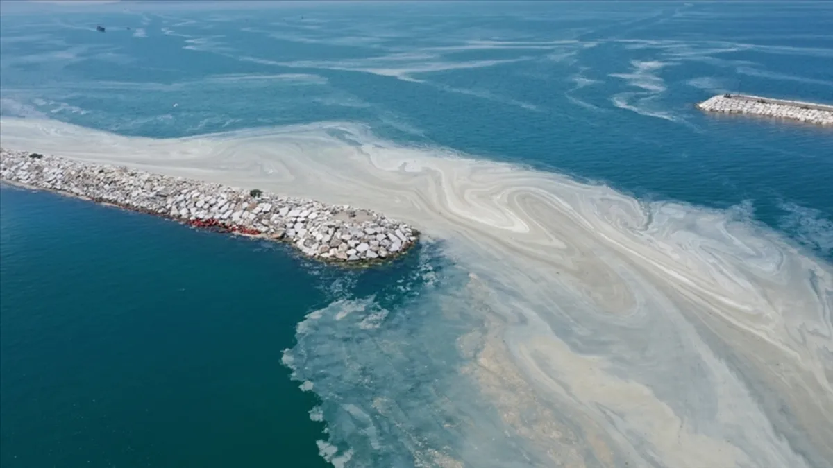 Müsilaj Bilim ve Teknik Kurulu toplanıyor! Akademisyenler buluşacak