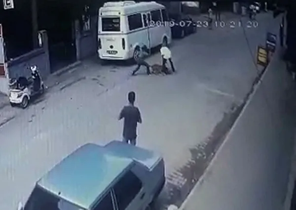 Böyle vicdansızlık görülmedi! Hamile kediyi köpeğe parçalattılar - 1