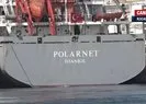 Polarnet Derince Limanında