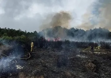 Son dakika: Aydos ormanında yangın