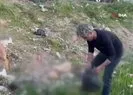 Alkol şişeleri tarihi gölgede bıraktı