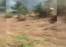 Aydosta korkutan yangın!